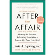 After the Affair - Janis A. Spring