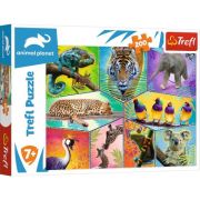 Puzzle animal planet - o lume exotica 200 piese image12