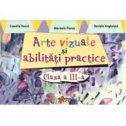 Arte vizuale si abilitati practice clasa 3 – Camelia Hoara librariadelfin.ro