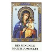 Din minunile Maicii Domnului - Agapie