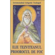 Ilie tezviteanul, proorocul de foc - sf. grigorie de nazianz (teologul)