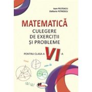 Matematica. Culegere de exercitii si probleme pentru clasa a 6-a - Ioan Pelteacu image7