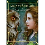 Mica vrajitoare. volumul al 4-lea. magia sangelui - lene kaaberbol