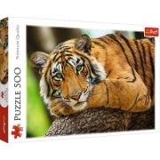 Puzzle portretul tigrului 500 piese librariadelfin.ro