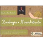 Lectii de zoologie. nevertebrate - lectii montessori