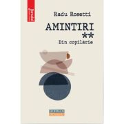 Amintiri. Din copilarie – Radu Rosetti librariadelfin.ro