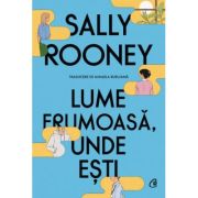 Lume frumoasa, unde esti - Sally Rooney