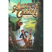 Addison Cooke si comoara incasilor - Jonathan W. Stokes