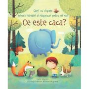 Ce este caca? (Usborne) - Usborne Books