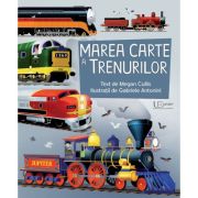 Marea carte a trenurilor (usborne) - usborne books