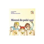 Misterul din podul casei - Ana Maria Stefan