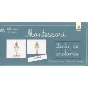 Lectii montessori. lectii de anatomie. sistemul osos. sistemul nervos