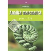 Analiza matematica pentru toti, clasa a 11-a - petre nachila