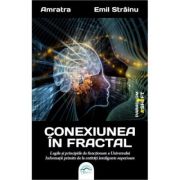 Conexiunea in fractal. Legile s principiile de functionare a Universului – Emil Strainu librariadelfin.ro