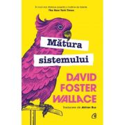 Matura sistemului – David Foster Wallace librariadelfin.ro