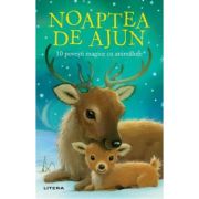Noaptea de ajun. 10 povesti magice cu animalute - rachel delahaye