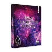 Prin labirintul juridic. simple note de calatorie doctrinara - ion craiovan