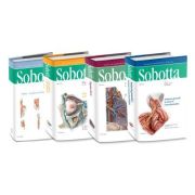 Atlas de anatomie a omului Sobotta, set 3 volume anatomie poza 2022