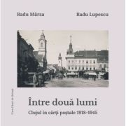 Intre doua lumi. Clujul in carti postale 1918-1945 – Radu Lupescu, Radu Marza librariadelfin.ro imagine 2022