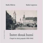 Intre doua lumi. clujul in carti postale 1918-1945 - radu lupescu, radu marza