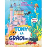 Tony la gradinita. caietul prescolarului. grupa mare - cristina ipate-toma