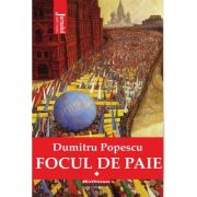 Focul de paie. vol. 1 - dumitru popescu