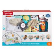 Saltea cu activitati si accesorii, Fisher Price