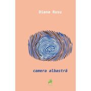 Camera Albastra - Diana Rusu image