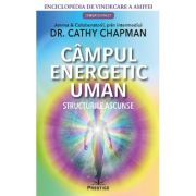 Campul energetic uman - Cathy Chapman image10