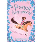 Poneii fermecati. Evadare nocturna (Usborne) - Usborne Books