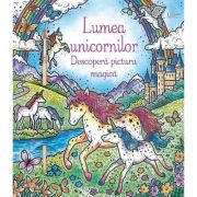 Lumea unicornilor. Descopera pictura magica (Usborne) - Usborne Books