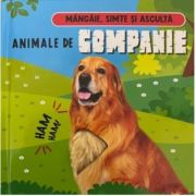 Mangaie, simte si asculta - Animale de companie