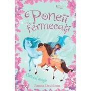 Poneii fermecati. Colierul magic (Usborne) - Usborne Books