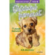 Catelusul fermecat. o parada fantastica (nivelul 6) - sue bentley