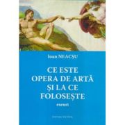 Ce este opera de arta si la ce foloseste - Ioan Neacsu