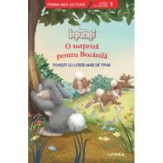 Disney Iepurasi. O surpriza pentru Bocanila. Povesti cu litere mari de tipar (Nivelul 1)