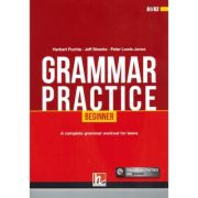 Grammar Practice Beginner + e-zone