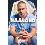 Erling Haaland image7