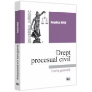 Drept procesual civil. Teoria generala - Angelica Rosu