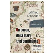 Un ocean, doua mari, trei continente - Wilfried N'Sonde image2