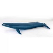 Figurina balena albastra, Papo albastră