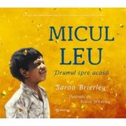 Micul leu. Drumul spre acasa - Saroo Brierley