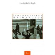 Indumnezeirea maidanului - Constantin Necula