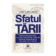 Sfatul Tarii. Istoria institutiei politice basarabene din anii 1917-1918﻿ - Ion Turcanu