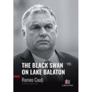 The Black Swan on Lake Balaton - Romeo Couti