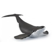 Figurina Pui de balena, Papo