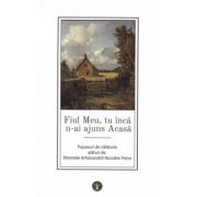 Fiul meu, tu inca n-ai ajuns acasa - nicodim petre