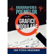 Radiografierea poemelor prin grafice modulare - Ion Pitoiu-Dragomir