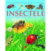 Insectele pe intelesul copiilor - Emilie Beaumont