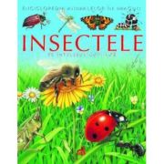 Insectele pe intelesul copiilor - emilie beaumont